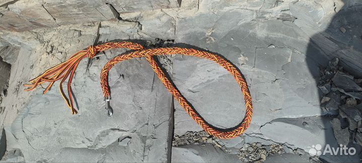 Поводок для собаки и чомбур для лошади