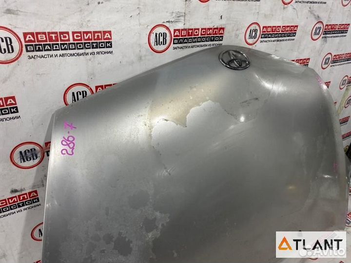 Капот toyota prius