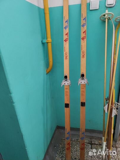 Беговые лыжи