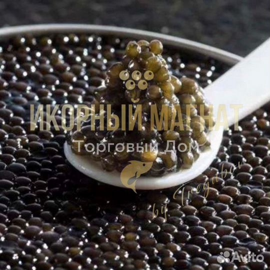 Черная икра от производителя