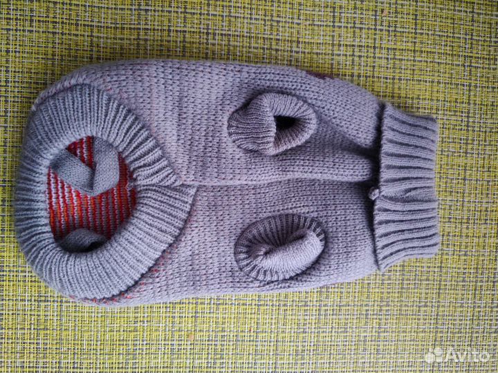 Одежда для животных