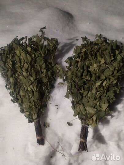 Веники березовые