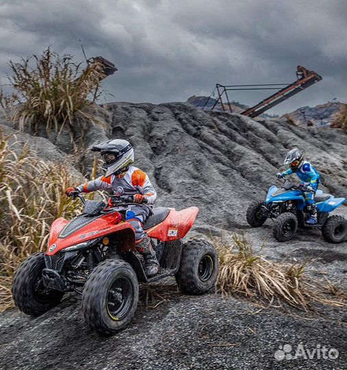 Квадроцикл Cfmoto Cforce 110