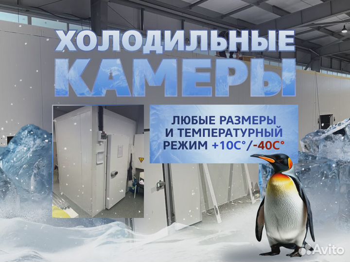 Холодильная камера Промышленная