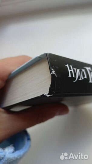 История с кладбищем Нил Гейман