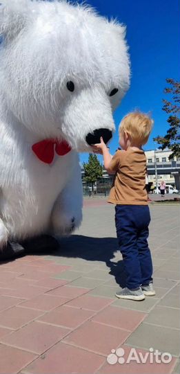 Белый мишка