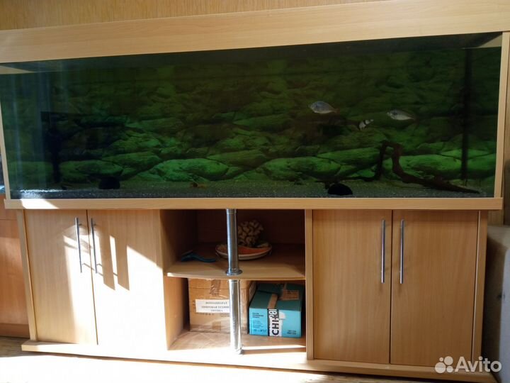 Аквариум с тумбой и крышкой бу 924 литра