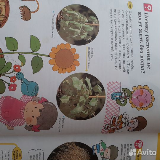 Энциклопедия Растения