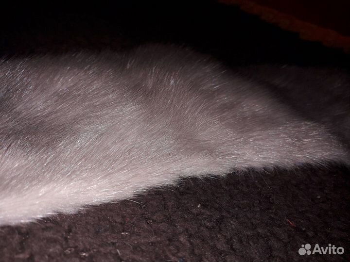 Мех Норка воротник СССР 1979 размер 52 гост