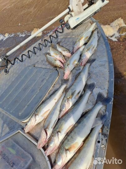 Рыбалка с гидом там где клюет