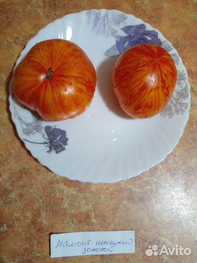 Семена томатов - биколоры и оранжевые