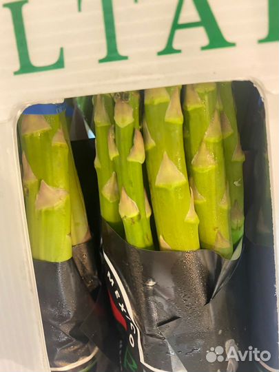 Спаржа свежая