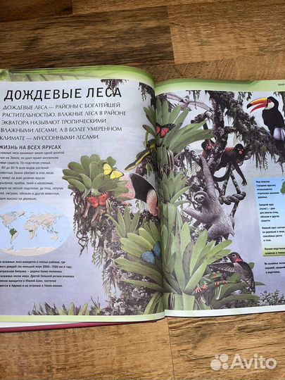 Детская энциклопедия