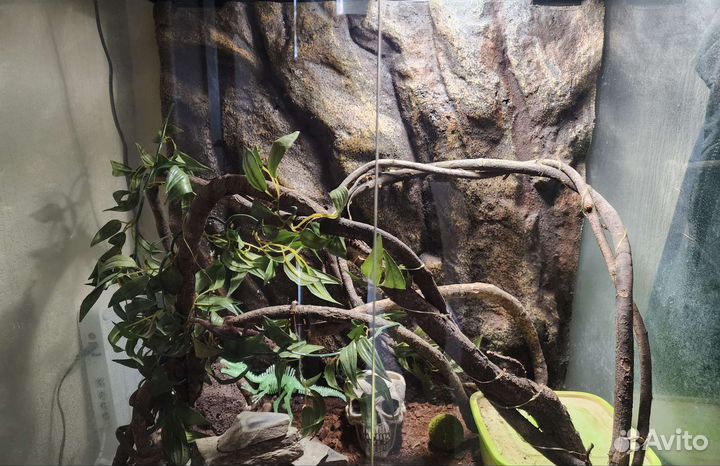 Террариум exo terra+ тумба