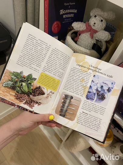 Библия кофе александр бузмаков ирина васильчикова