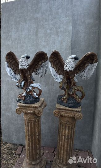 Орел на ветке