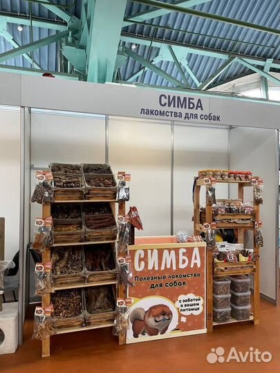 Графический Дизайнер полиграфии I Логотип