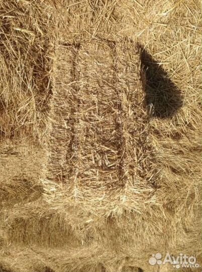 Солома овсяная в тюках