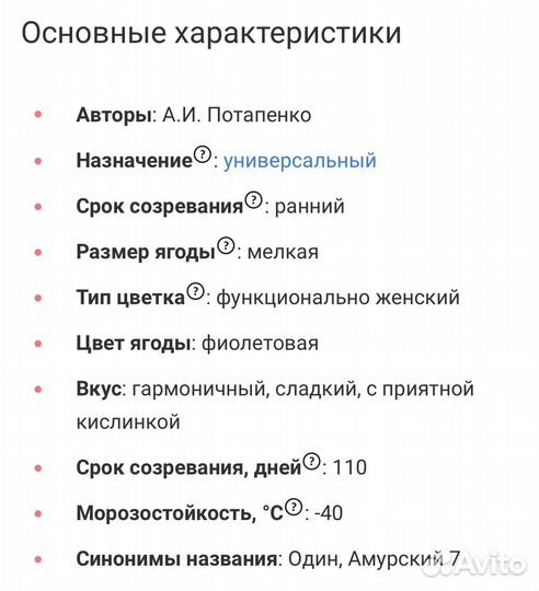 Один (Амурский прорыв)