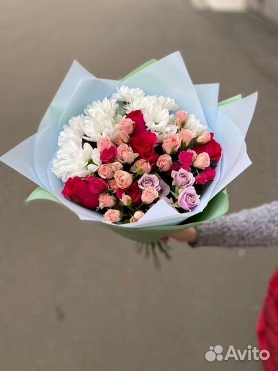 Хризантема кустовые розы цветы