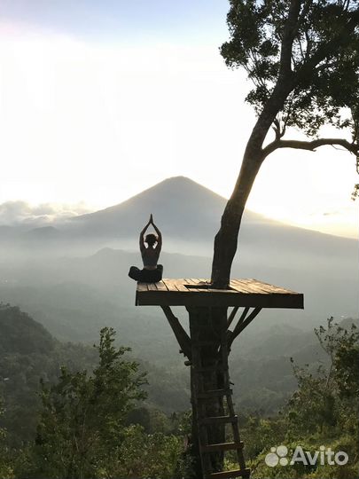 Йога для начинающих онлайн