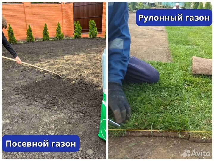 Укладка и устройство газона под ключ. Покос травы