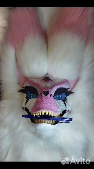 Рапторы на заказ