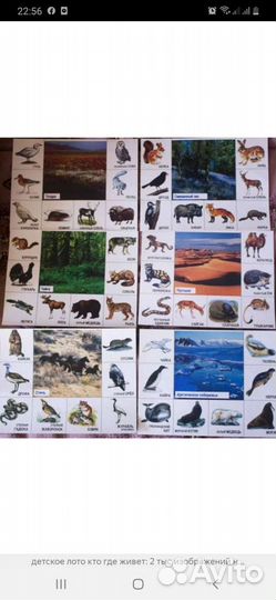 Лото детское и пазлы