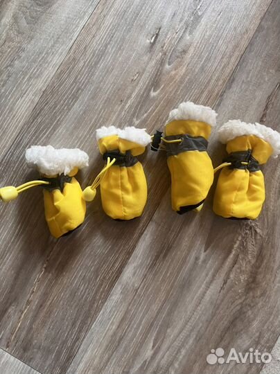 Одежда для маленьких пород собак