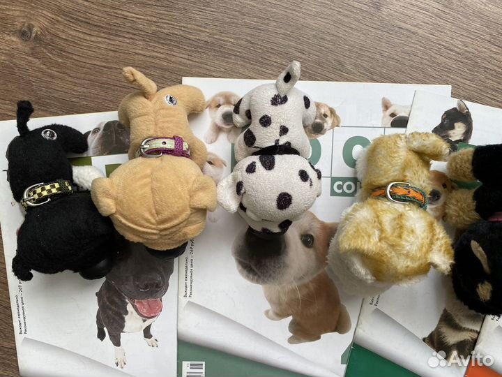 The dog collection