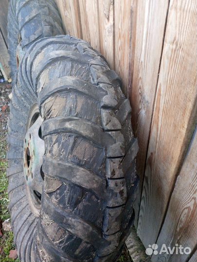 Ободрыши Урал