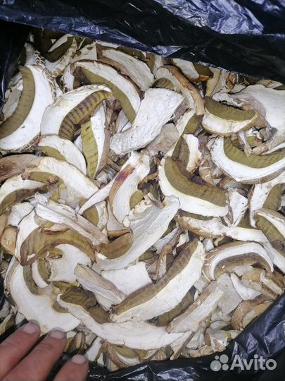 Белый гриб сушеный