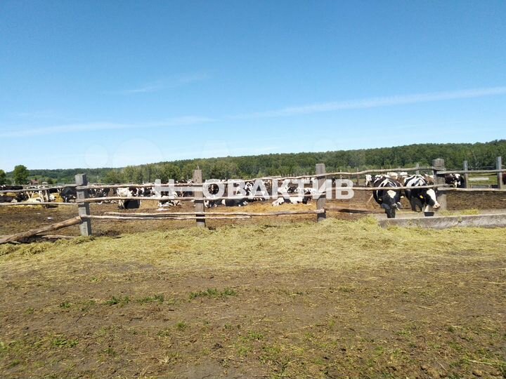 Участок 13,31 га (СНТ, ДНП)