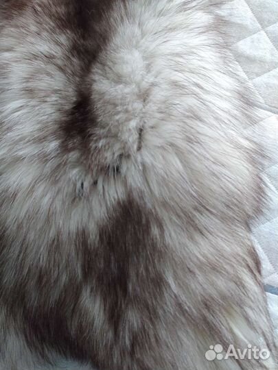 Песец шкурка