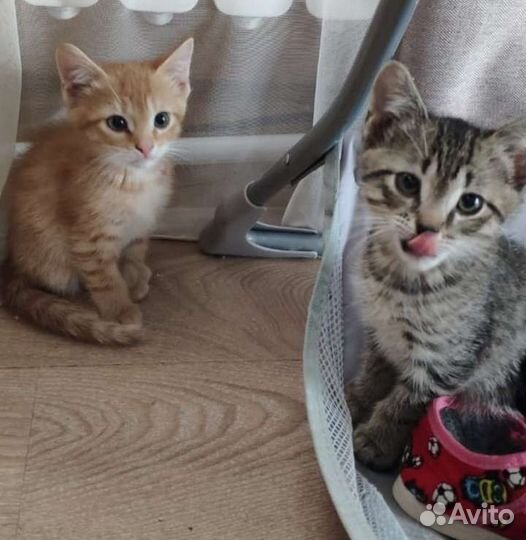 Книга памяти Прокуратуры Республики Татарстан