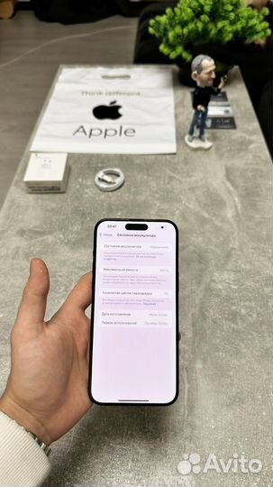 iPhone 15 Pro Max, 256 ГБ