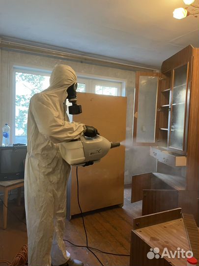 Клопы, тараканы, обработка бытовок