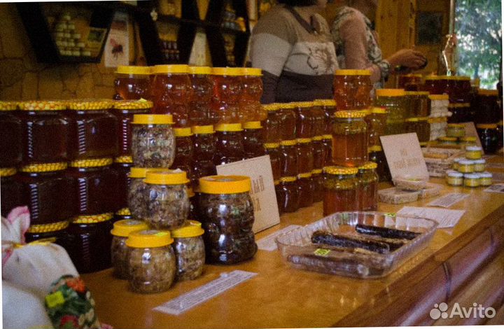 Тур поездка Сочи из Ростова на 1 чел