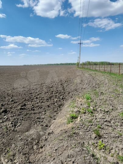 Участок 5 га (СНТ, ДНП)