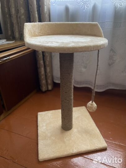 Когтеточка