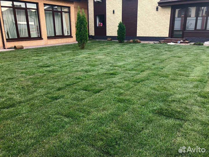 Укладка рулонного газона