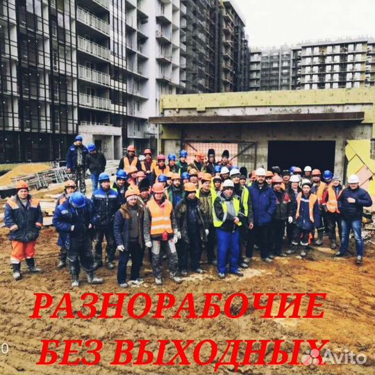 Услуги разнорабочих на день