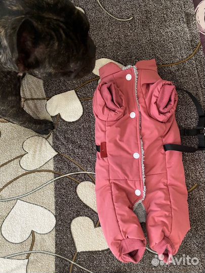 Теплый комбинезон для собаки Petmax