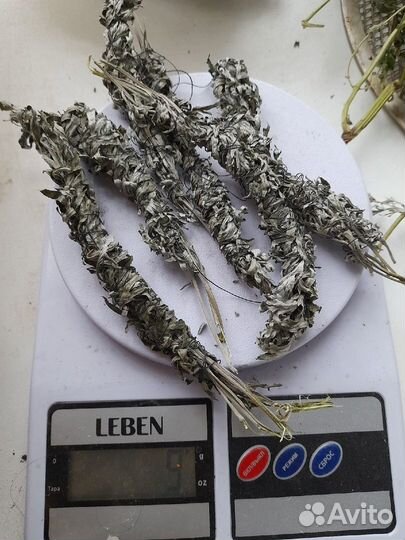 Трава полынь серебристая, алтарная, для ритуалов