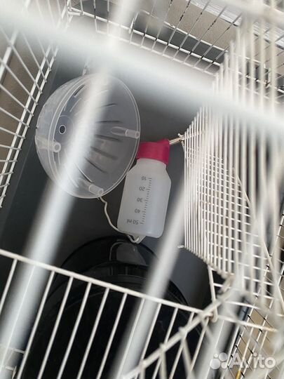 Клетка для хомяка