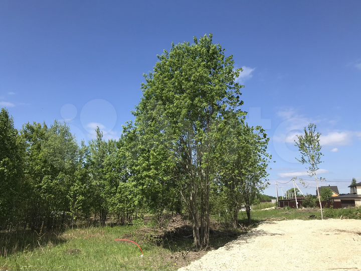 Участок 12 сот. (ИЖС)