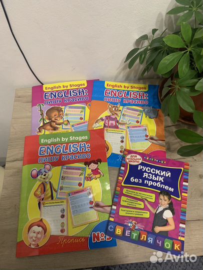 Рабочие тетради