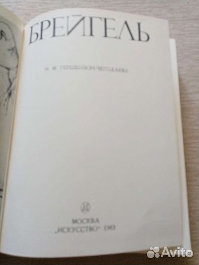 Книга Брейгель