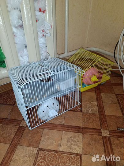 Клетка для хомяка