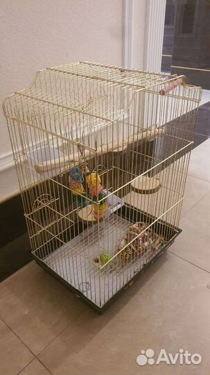 Клетка для птиц